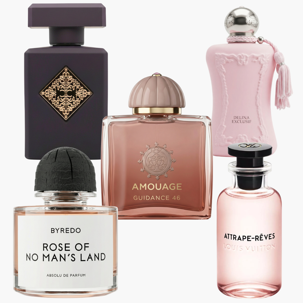 @kallyleigh Top Picks Collection
